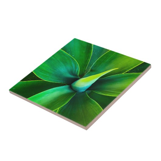 Agave Design Keramikfliese (Seite)