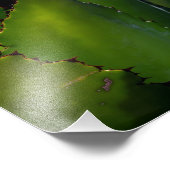 Agave glühen fotodruck (Ecke)