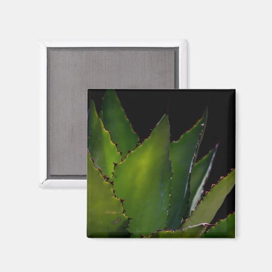 Agave glühen magnet (Vorderseite/Rückseite)