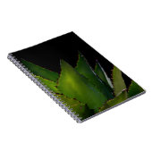 Agave glühen notizblock (Rechte Seite)