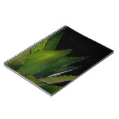 Agave glühen notizblock (Linke Seite)