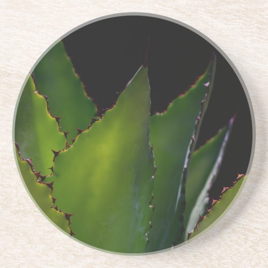 Agave glühen sandstein untersetzer (Vorne)