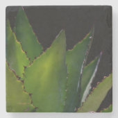 Agave glühen steinuntersetzer (Vorderseite)