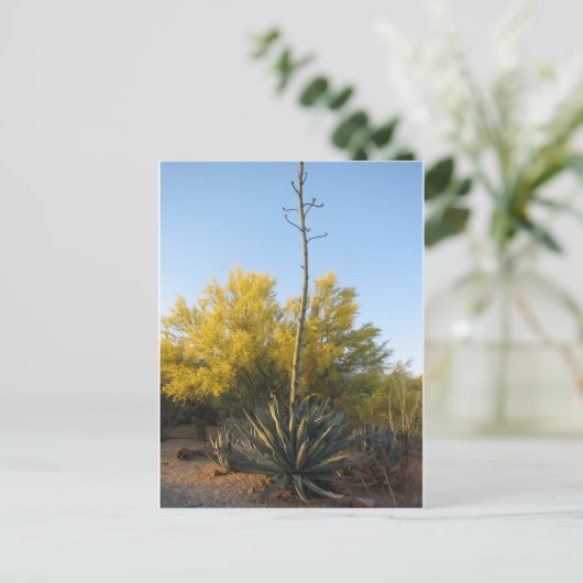 Agave in Bloom Postkarte (Stehend Vorderseite)
