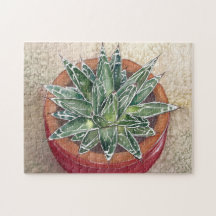 Agave in pot-Puzzle