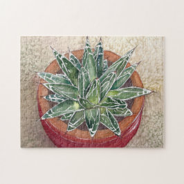 Agave in pot-Puzzle Puzzle