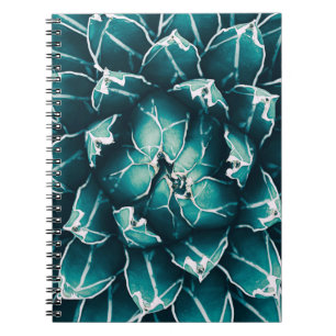 agave Kakteen, abstrakter Naturhintergrund, top vi Notizblock