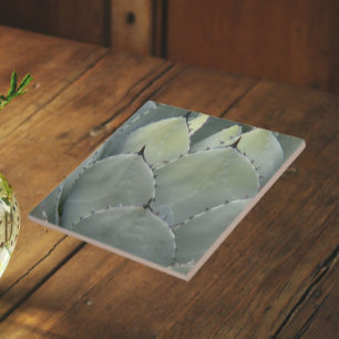 Agave-Kaktus-Pflanze im Südwest-Stil Fliese
