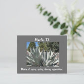 Agave Marfa, Texas Postkarte (Stehend Vorderseite)
