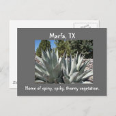 Agave Marfa, Texas Postkarte (Vorne/Hinten)