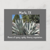 Agave Marfa, Texas Postkarte (Vorderseite)