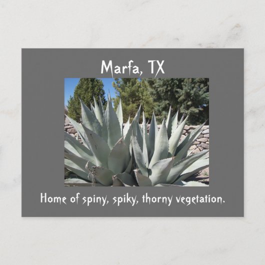 Agave Marfa, Texas Postkarte (Vorderseite)