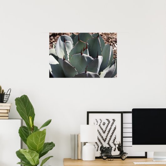 Agave parryi poster (Heimbüro)