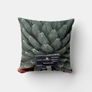 Agave Pflanze Foto Kissen 41 cm x 41 cm
