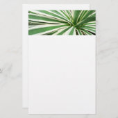 Agave Pflanze grün und weiß gestrichen Briefpapier (Vorne/Hinten)