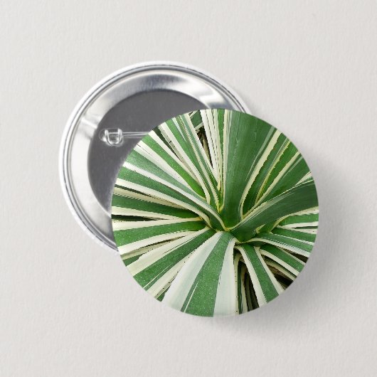 Agave Pflanze grün und weiß gestrichen Button (Vorne & Hinten)
