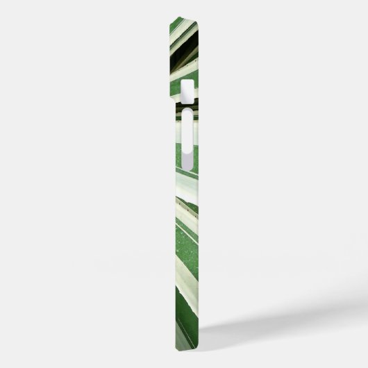 Agave Pflanze grün und weiß gestrichen Case-Mate iPhone Hülle (Rückseite / Links)