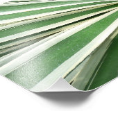 Agave Pflanze grün und weiß gestrichen Fotodruck (Ecke)