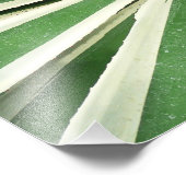 Agave Pflanze grün und weiß gestrichen Fotodruck (Ecke)