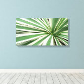 Agave Pflanze grün und weiß gestrichen Leinwanddruck (Insitu (Holzboden))
