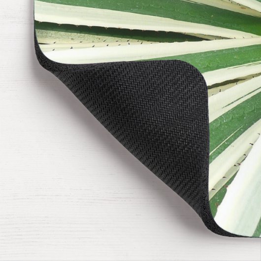 Agave Pflanze grün und weiß gestrichen Mousepad (Ecke)