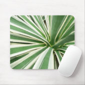 Agave Pflanze grün und weiß gestrichen Mousepad (Mit Mouse)