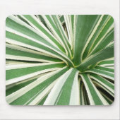 Agave Pflanze grün und weiß gestrichen Mousepad (Vorne)