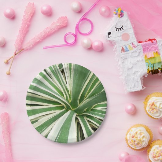 Agave Pflanze grün und weiß gestrichen Pappteller (Party)