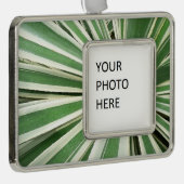 Agave Pflanze grün und weiß gestrichen Rahmen-Ornament Silber (Rechts)