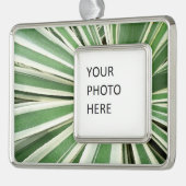 Agave Pflanze grün und weiß gestrichen Rahmen-Ornament Silber (Links)