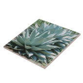 Agave Pflanze Succulent Blue Cacti Botanische Wüst Fliese (Seite)