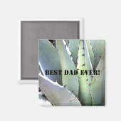 Agave Pflanze Succulent Blue Cacti Tequila Wüste Magnet (Vorderseite/Rückseite)