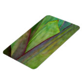 Agave Plant Detail Magnet (Linke Seite)
