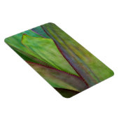 Agave Plant Detail Magnet (Rechte Seite)
