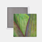 Agave Plant Detail Magnet (Vorderseite/Rückseite)