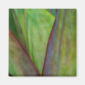 Agave Plant Detail Magnet (Vorne)