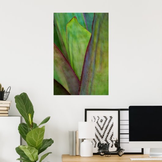Agave Plant Detail Poster (Heimbüro)