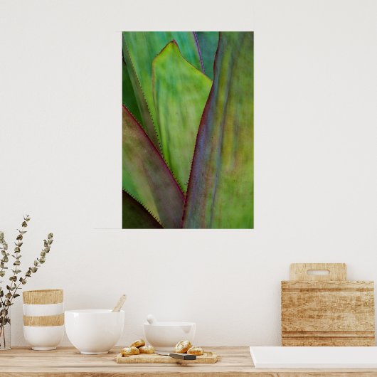 Agave Plant Detail Poster (Küche)