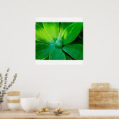Agave Poster (Küche)
