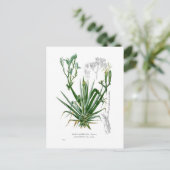 Agave Postkarte (Stehend Vorderseite)