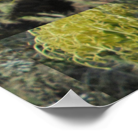 Agave Riese Blume Cluster Poster (Ecke)