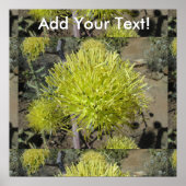 Agave Riese Blume Cluster Poster (Vorne)