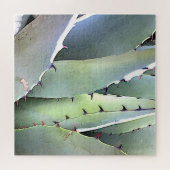 Agave Sukkulente Pflanze Cactus Green Puzzle (Horizontal)
