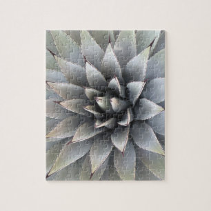 Agave Sukkulente Pflanze Cactus Green sage Jigsaw Puzzle