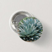Agave Sukkulente Pflanze Cactus Green Salbei Button (Vorne & Hinten)