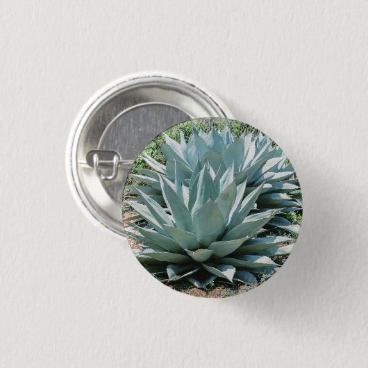 Agave Sukkulente Pflanze Cactus Green Salbei Button (Vorne & Hinten)