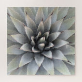 Agave Sukkulente Pflanze Cactus Green Salbei Puzzle (Horizontal)