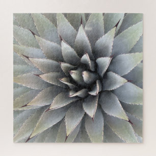 Agave Sukkulente Pflanze Cactus Green Salbei Puzzle