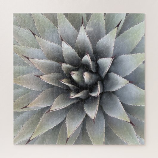 Agave Sukkulente Pflanze Cactus Green Salbei Puzzle (Vertikal)