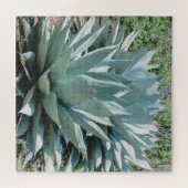 Agave Sukkulente Pflanze Cactus Green Salbei Puzzle (Horizontal)